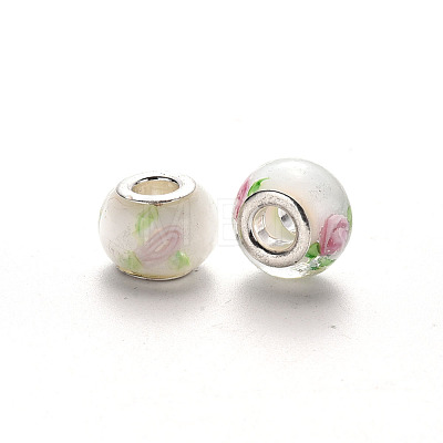 Handmade Lampwork European Beads LPDL-N001-036-F10-1