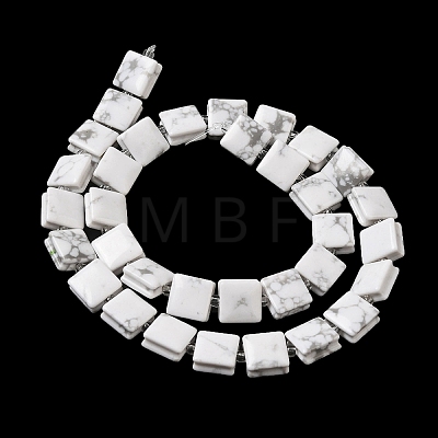 Natural Howlite Beads Strands G-L596-A19-01-1