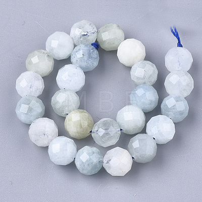 Natural Aquamarine Beads Strands G-S345-8mm-013-1