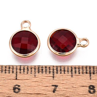 Golden Tone Brass Glass Charms GLAA-ZX008-24H-G-1