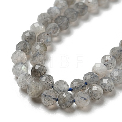 Faceted Round Natural Labradorite Bead Strands G-I156-03-4mm-1