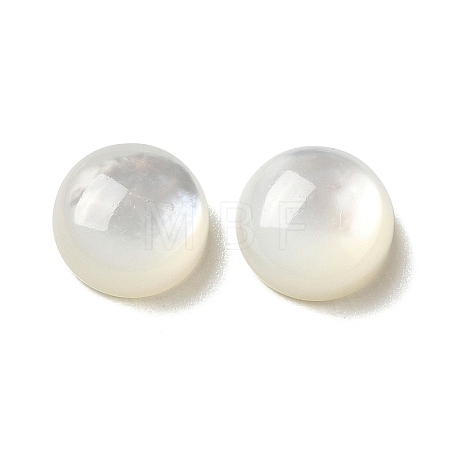 Natural White Shell Cabochons SSHEL-M022-01B-1