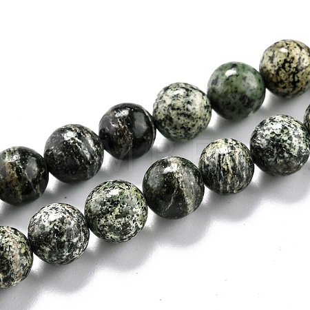 Natural Green Zebra Jasper Beads Strands G-O199-05B-1
