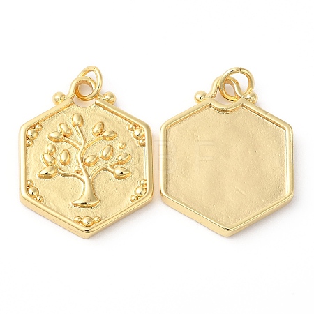 Eco-Friendly Rack Plating Brass Pendants KK-R143-16G-1
