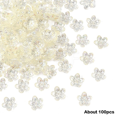 15g Transparent Acrylic Bead Caps TACR-YW0003-07E-1