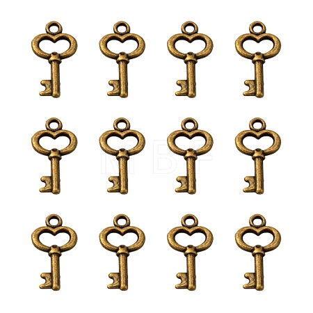Gifts Ideas for Her Tibetan Style Alloy Charms MLF11975Y-NF-1