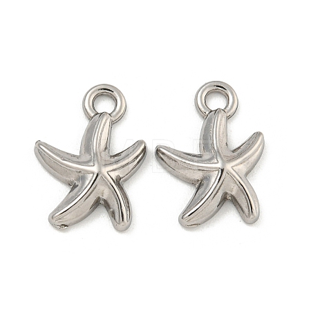 Non-Tarnish 304 Stainless Steel Charms STAS-I307-517P-1