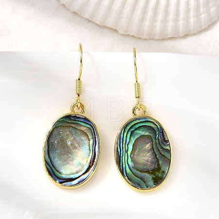 Brass Natural Paua Shell Dangle Earrings EJEW-M060-19C-G-1