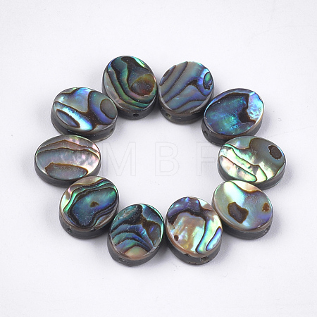 Abalone Shell/Paua Shell Beads X-SSHEL-T008-04-1