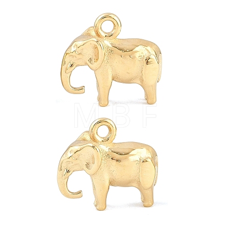 304 Stainless Steel Charms SA-CBA02E8-09G-1