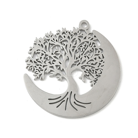 304 Stainless Steel Pendants STAS-V016-10P-1