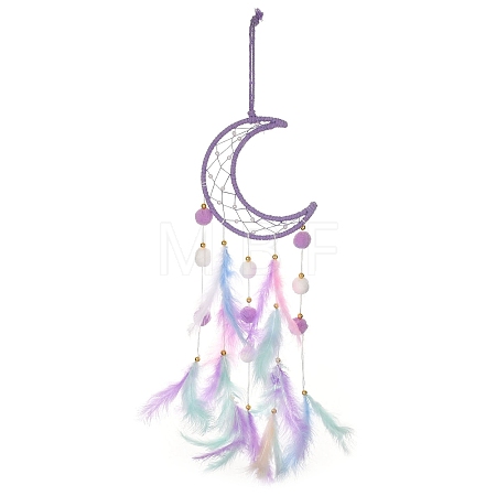Woven Net/Web with Feather Hanging Suncatchers HJEW-F024-03B-1