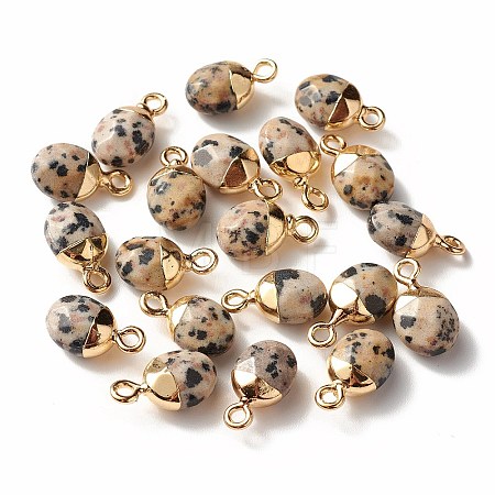 Electroplate Natural Dalmatian Jasper Charms G-S344-09C-1