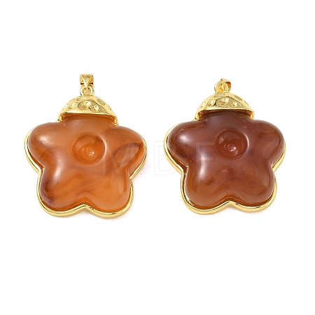 Brass & Resin Pendants KK-A303-04G-01-1