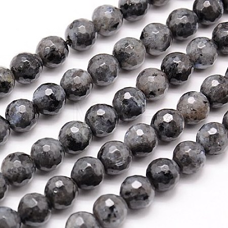 Natural Larvikite Beads Strands G-G736-01-6mm-1