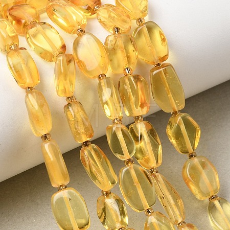 Natural Amber Beads Strands G-K376-G03-03-1