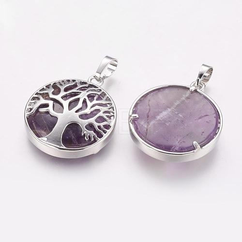 Natural Amethyst Pendants G-E388-09P-1