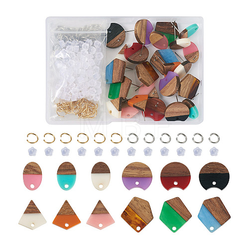 DIY 12 Pairs 12 Style Two Tone Resin & Walnut Wood Stud Earring Findings DIY-CW0001-35-1