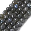 Natural Labradorite Beads Strands G-U017-8MM-01-2