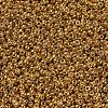 MIYUKI Round Rocailles Beads X-SEED-G007-RR4203-3