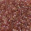 Glass Seed Beads SEED-S042-13A-17-3