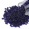 TOHO Round Seed Beads SEED-JPTR08-0743-1