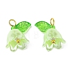 Acrylic Pendants LS-OACR-D012-01E-1