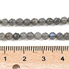 Natural Labradorite Beads Strands G-G213-4mm-03-2
