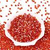 FGB Transparent Colours Glass Seed Beads SEED-Q040-07A-B04-2