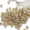 TOHO 3/0 Round Beads SEED-XTR03-PF0558-1