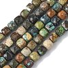 Natural African Turquoise(Jasper) Beads Strands G-L651-D02-6x6mm-2