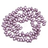 Electroplated Shell Pearl Beads Strands BSHE-B009-A01-5x8mm-03-2