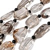 Natural Lodolite Quartz Beads Strands G-F820-M01-02-2