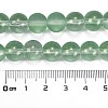 Frosted Transparent Glass Bead Strands GLAA-P065-10mm-04-3