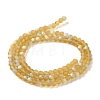 Transparent Glass Beads Strands LS-EGLA-A034-T4mm-MB04-3