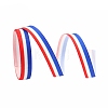 Independence Day Polyester Ribbons OCOR-WH0008-094A-1
