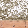 MIYUKI Delica Beads SEED-J020-DB0384-4