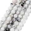 Natural Rainbow Moonstone Beads Strands G-Q1001-A05-02-1