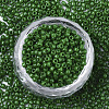 Baking Paint Glass Seed Beads X-SEED-S042-05A-04-2