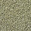 MIYUKI Delica Beads SEED-MY11-DB1181-3