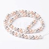 Round Shell Pearl Bead Strands X-BSHE-E007-8mm-01-2