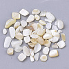 Freshwater Shell Beads X-SHEL-S266-11-2