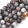 Natural Botswana Agate Beads Strands G-G453-A01-12mm-2