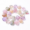 Natural Gemstone Beads Strands G-P434-27-1