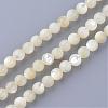 Natural Sea Shell Beads Strands SSHEL-S252-03-1