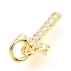 Brass Micro Pave Cubic Zirconia Charms ZIRC-O037-10G-3