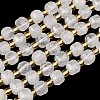Natural Rainbow Moonstone Beads Strands G-Z147-A01-02-2