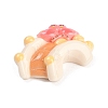 Park Theme Cartoon Resin Cabochons LS-CRES-S368-01C-2