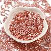 Glass Twist Bugle Beads SEED-C004-06A-2