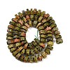 Natural Unakite Beads Strands G-F796-A07-01-3